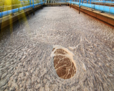 水處理91香蕉视频破解版