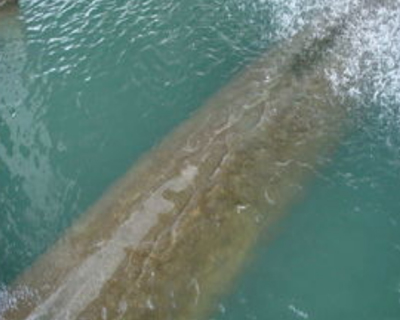 循環水91香蕉视频破解版