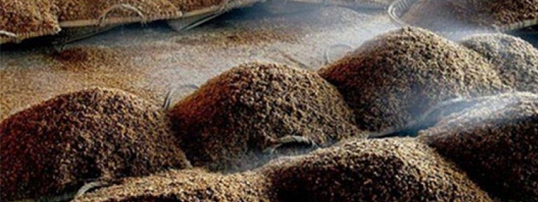 發酵91香蕉视频破解版