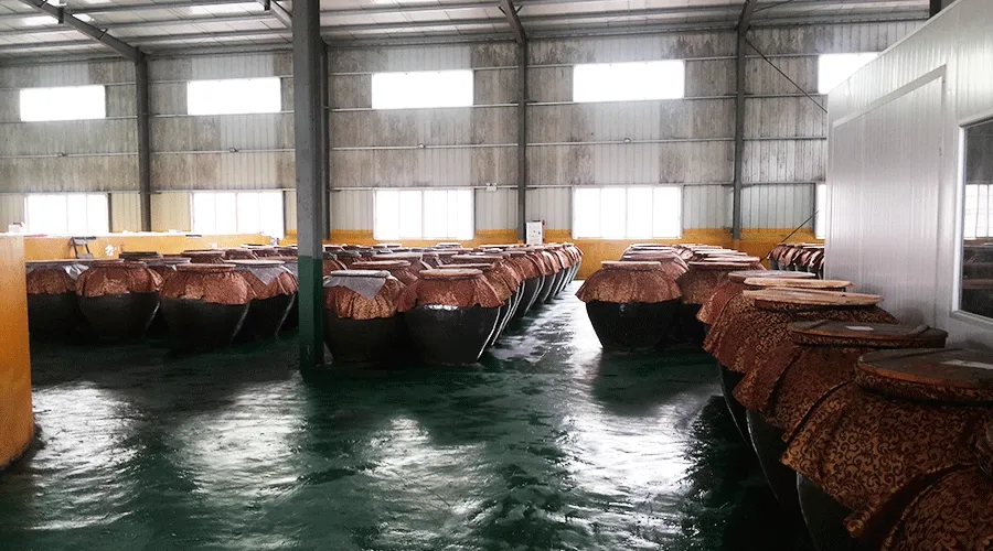 發酵91香蕉视频破解版