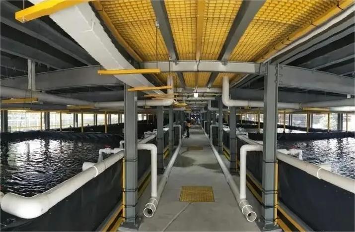 循環水91香蕉视频破解版