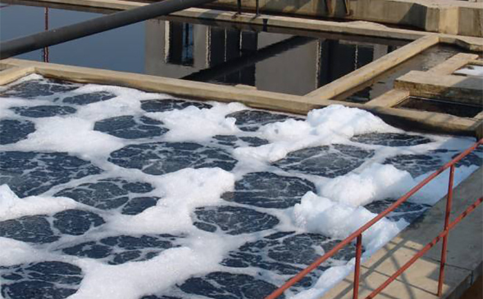 廢水91香蕉视频破解版