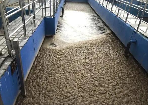 水處理91香蕉视频破解版