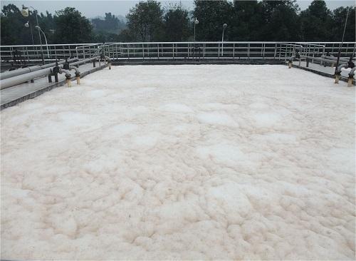 曝氣池91香蕉视频破解版