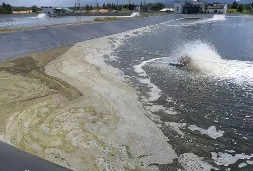 水池91香蕉视频破解版